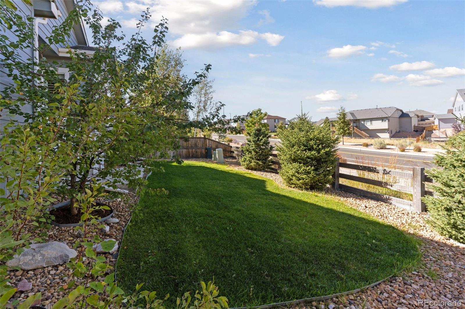 MLS Image #24 for 4391  mcmurdo court,castle rock, Colorado