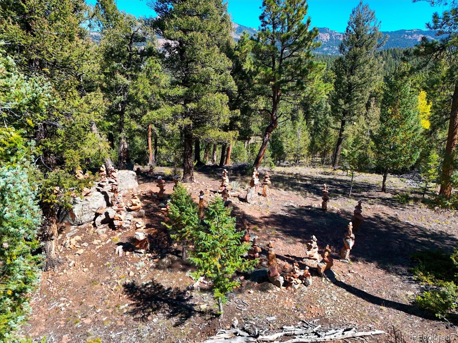 MLS Image #34 for 134  nova road,pine, Colorado