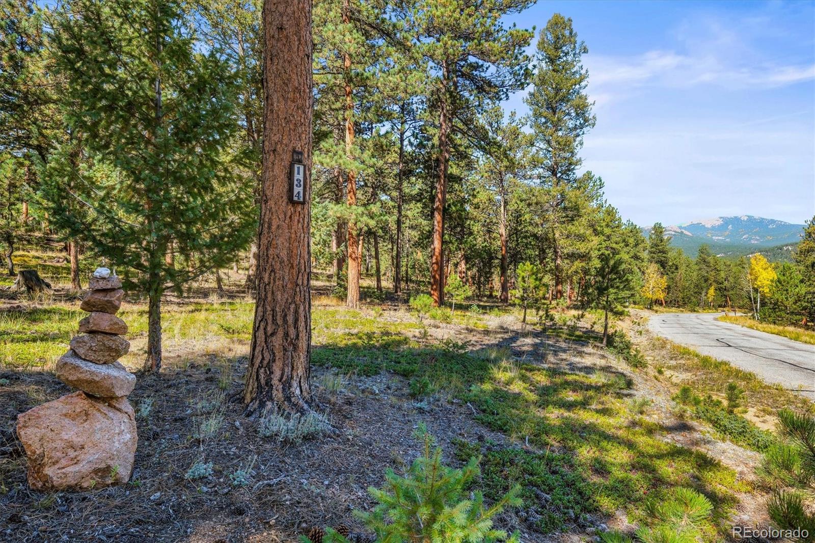 MLS Image #48 for 134  nova road,pine, Colorado