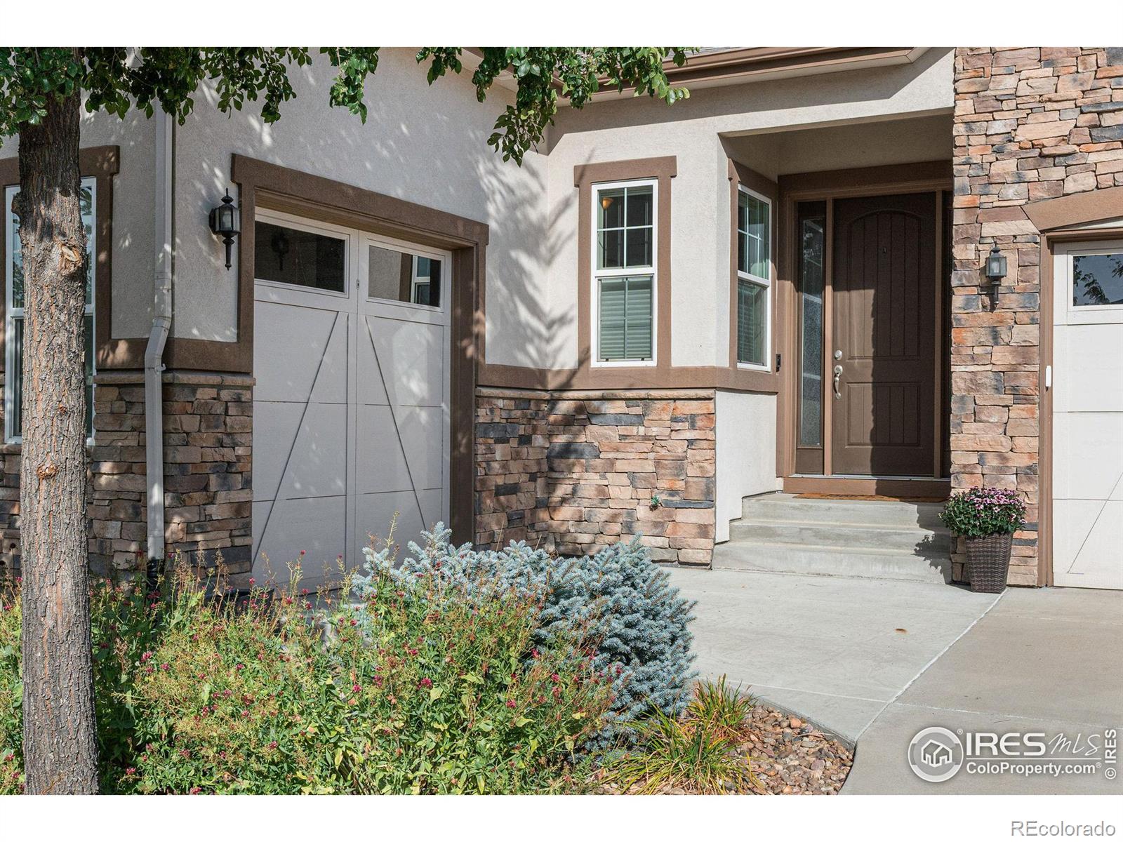 MLS Image #1 for 1614  hideaway court,longmont, Colorado