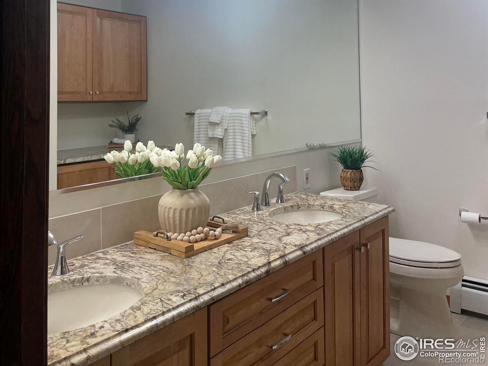 MLS Image #18 for 2420  frances drive,loveland, Colorado