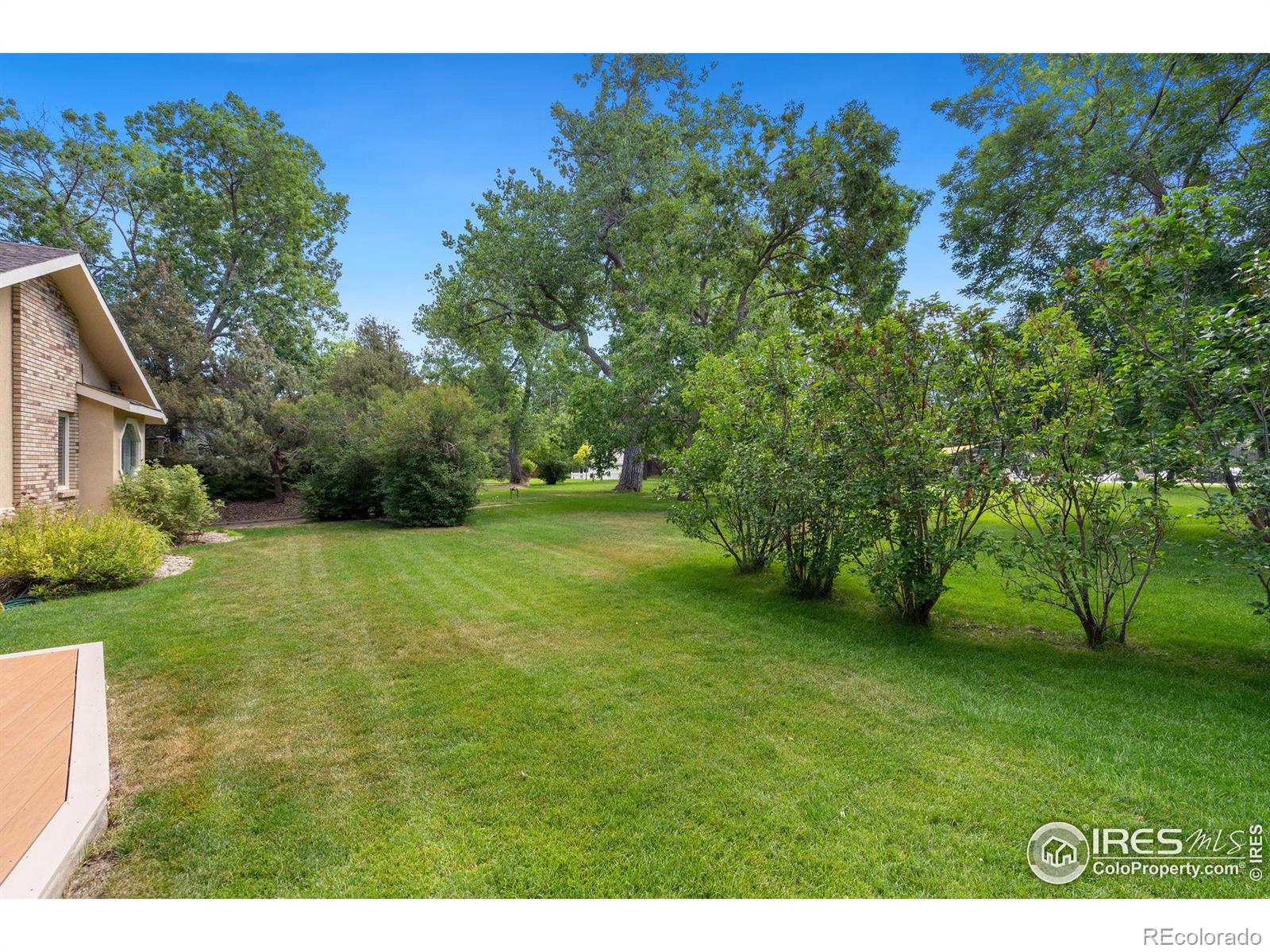 MLS Image #34 for 2420  frances drive,loveland, Colorado