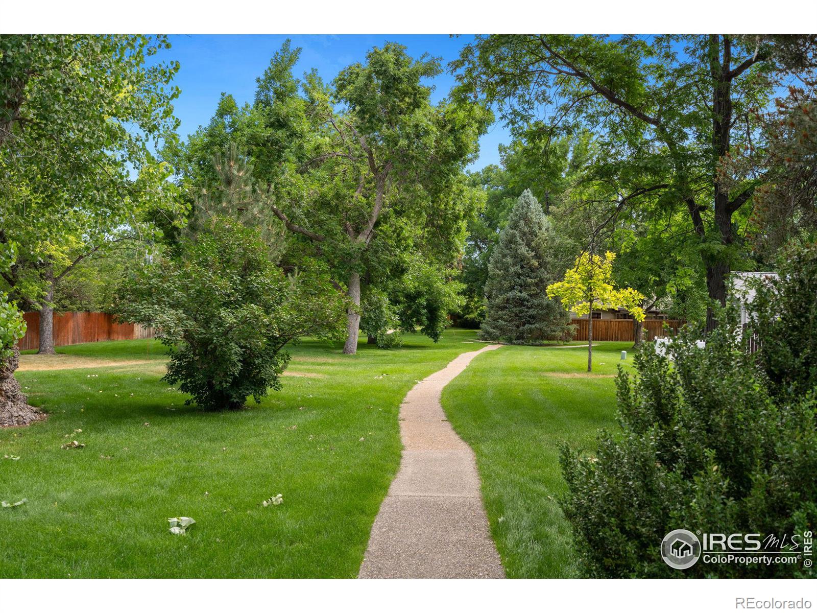 MLS Image #37 for 2420  frances drive,loveland, Colorado