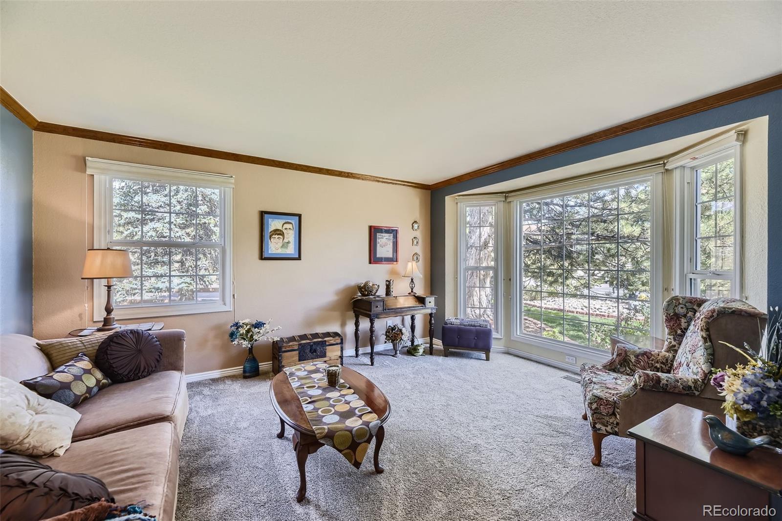 MLS Image #13 for 1914  terrace drive,highlands ranch, Colorado