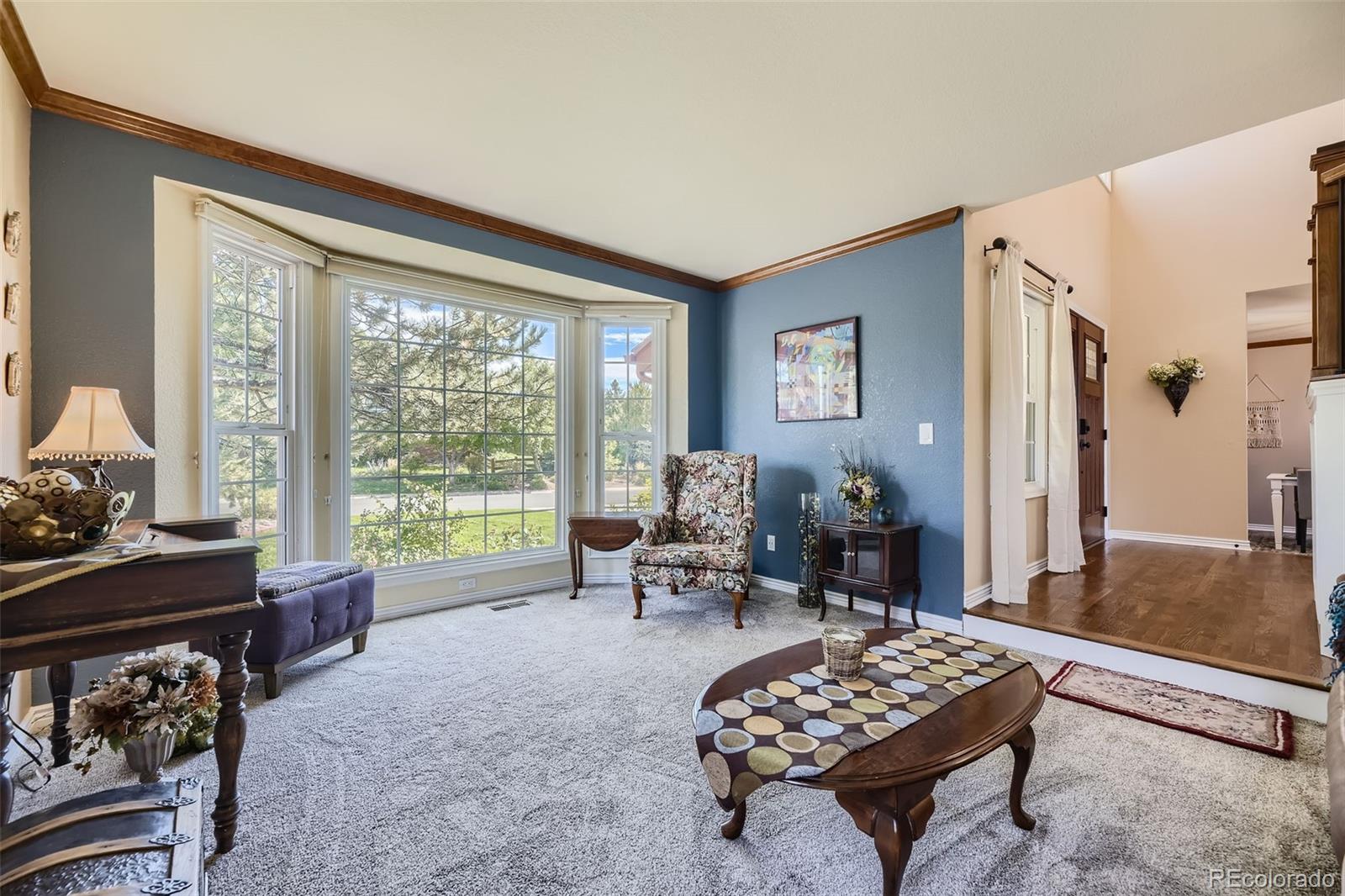 MLS Image #14 for 1914  terrace drive,highlands ranch, Colorado