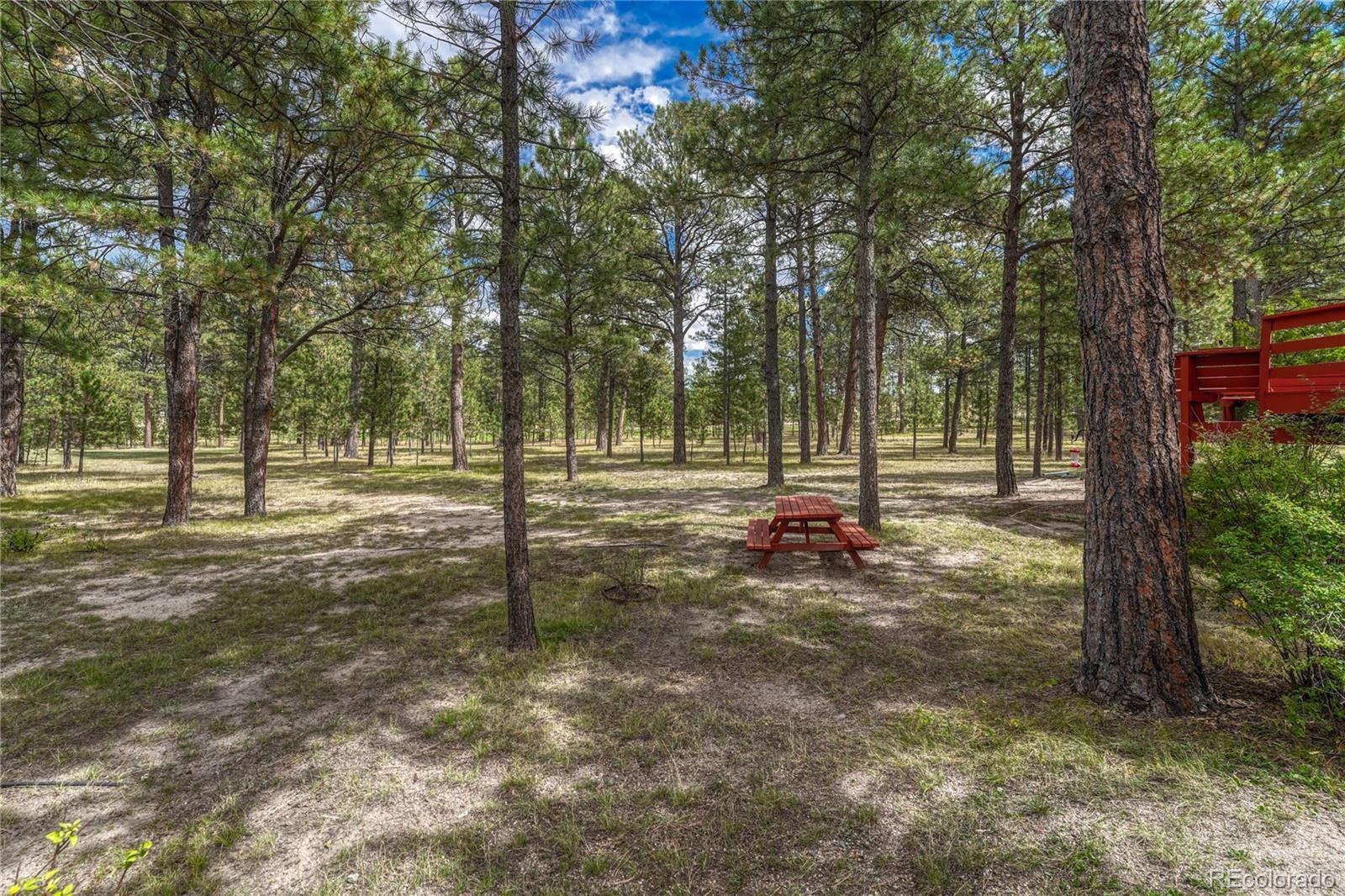 MLS Image #2 for 8510  wilderness drive,colorado springs, Colorado