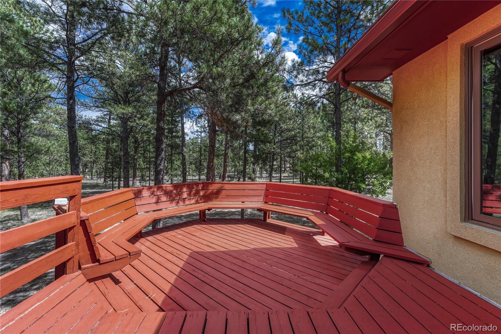 MLS Image #5 for 8510  wilderness drive,colorado springs, Colorado