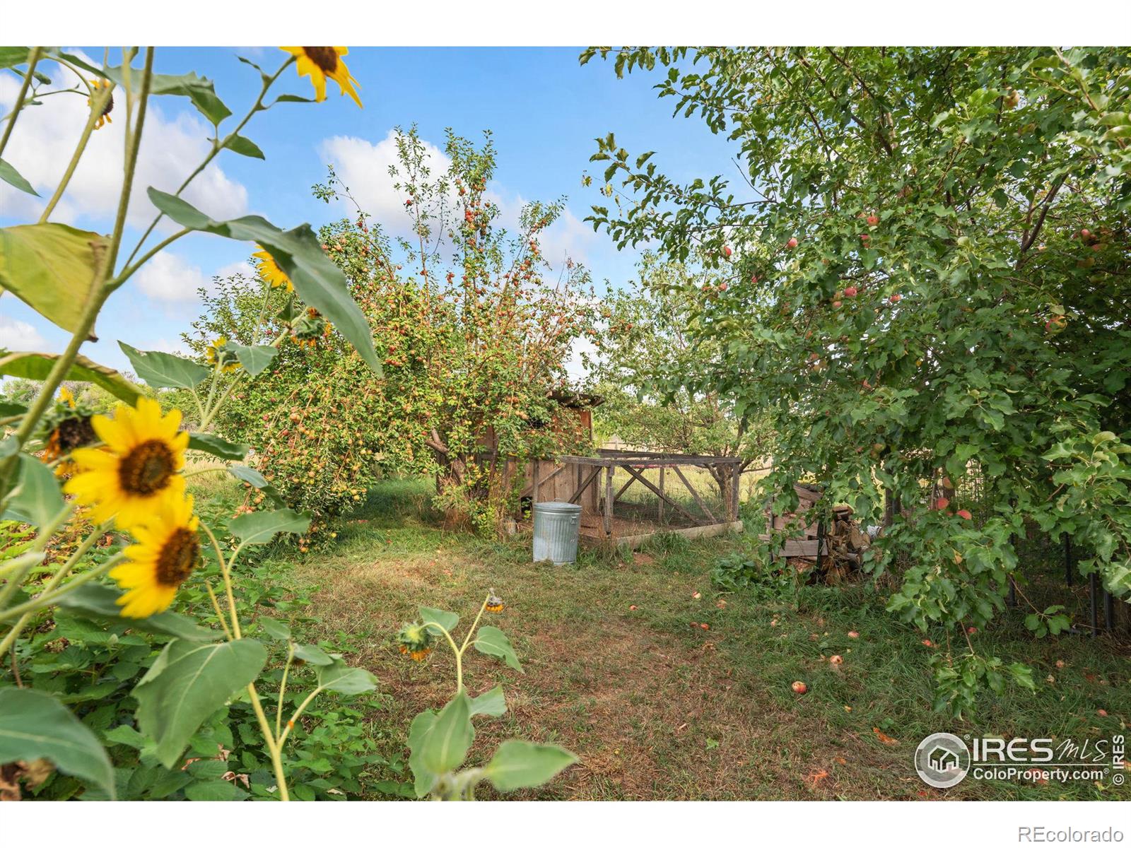 MLS Image #10 for 10075 n county road 15 ,fort collins, Colorado