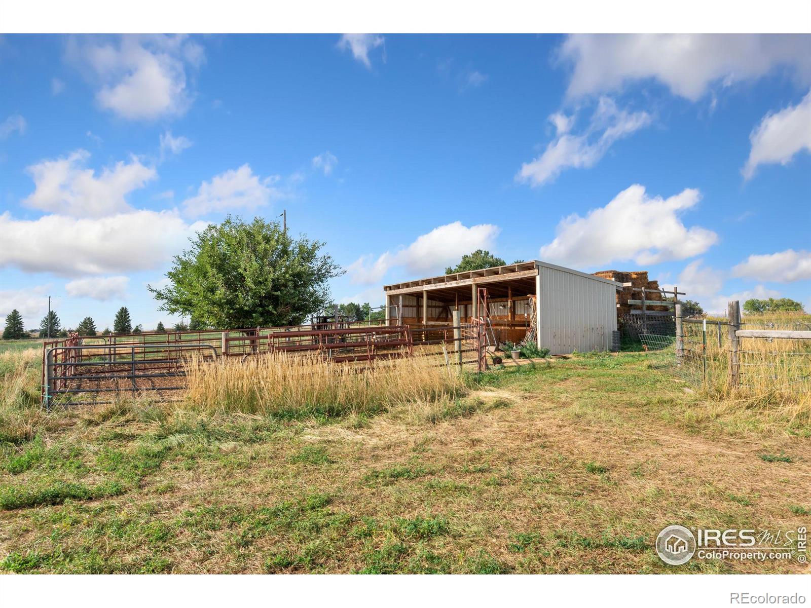 MLS Image #4 for 10075 n county road 15 ,fort collins, Colorado