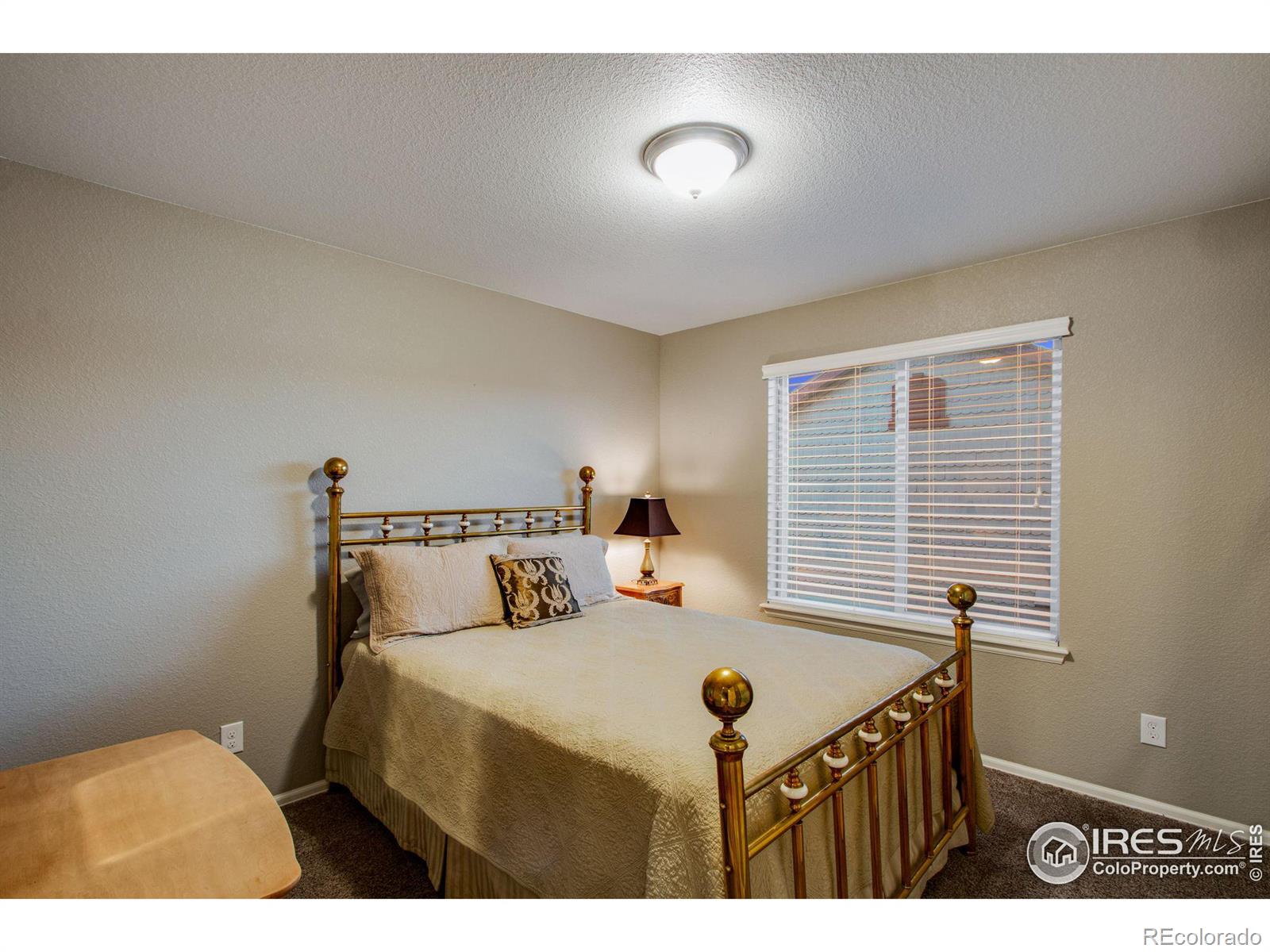 MLS Image #36 for 444  routt drive,loveland, Colorado