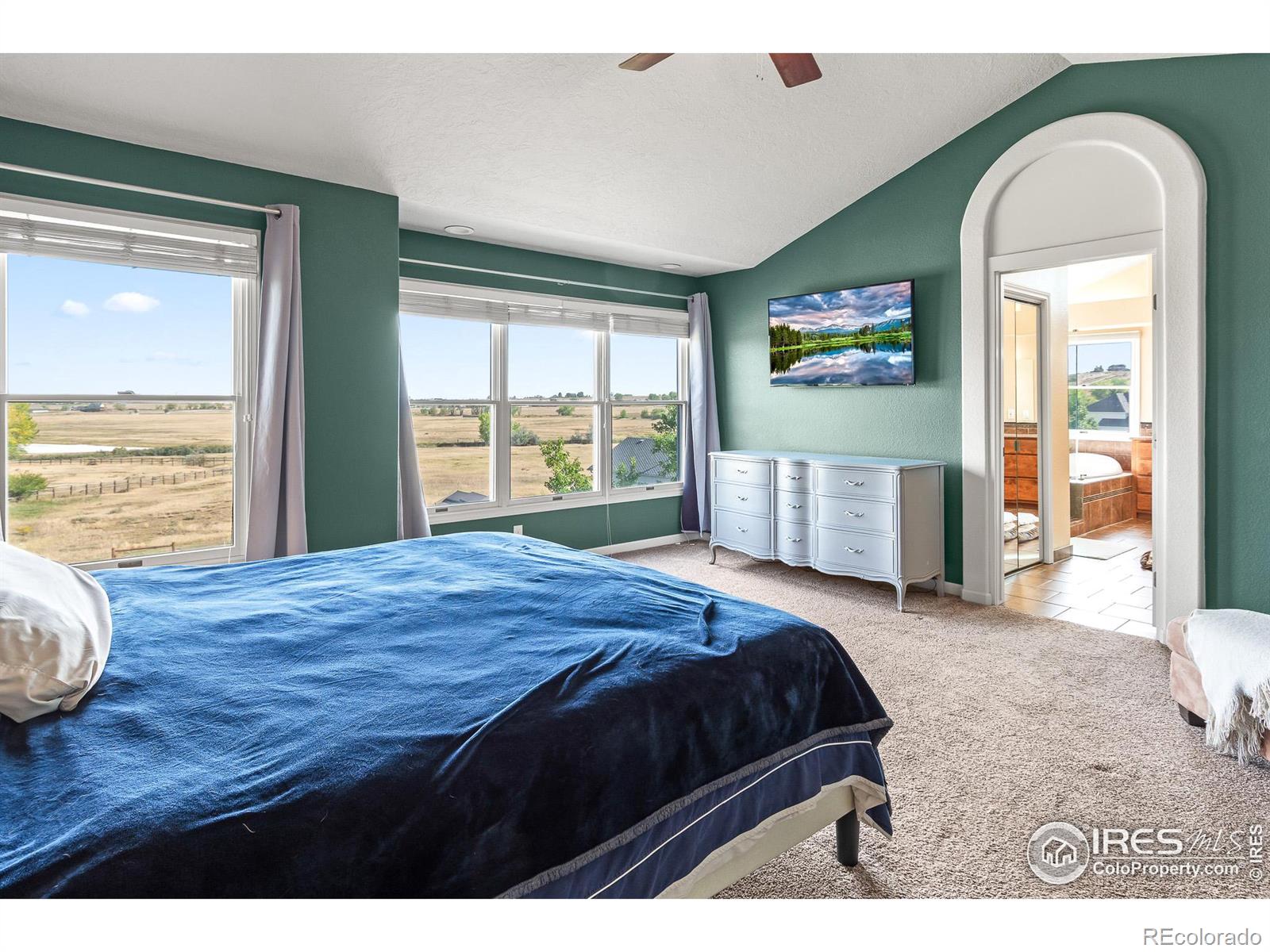 MLS Image #17 for 3020  blue mountain court,loveland, Colorado