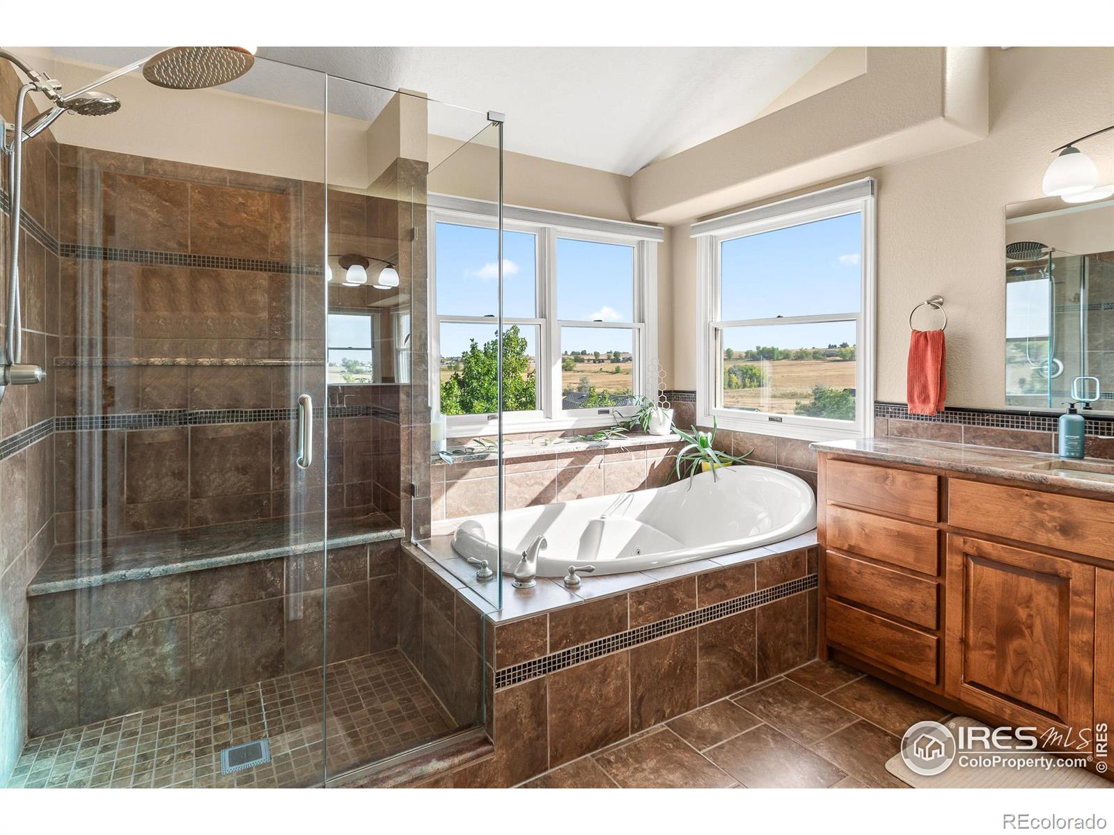 MLS Image #19 for 3020  blue mountain court,loveland, Colorado