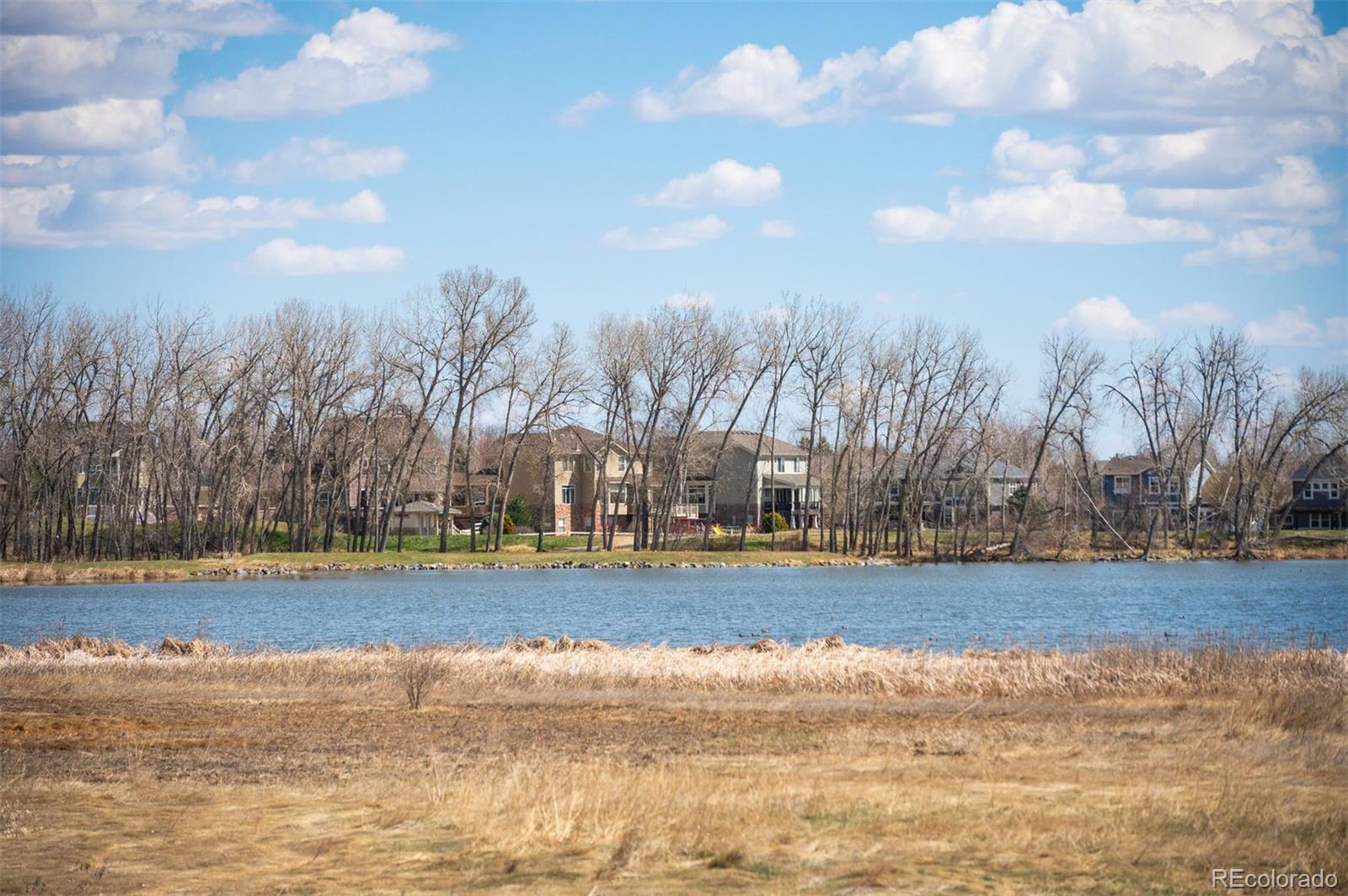 MLS Image #42 for 13708  boulder point,broomfield, Colorado