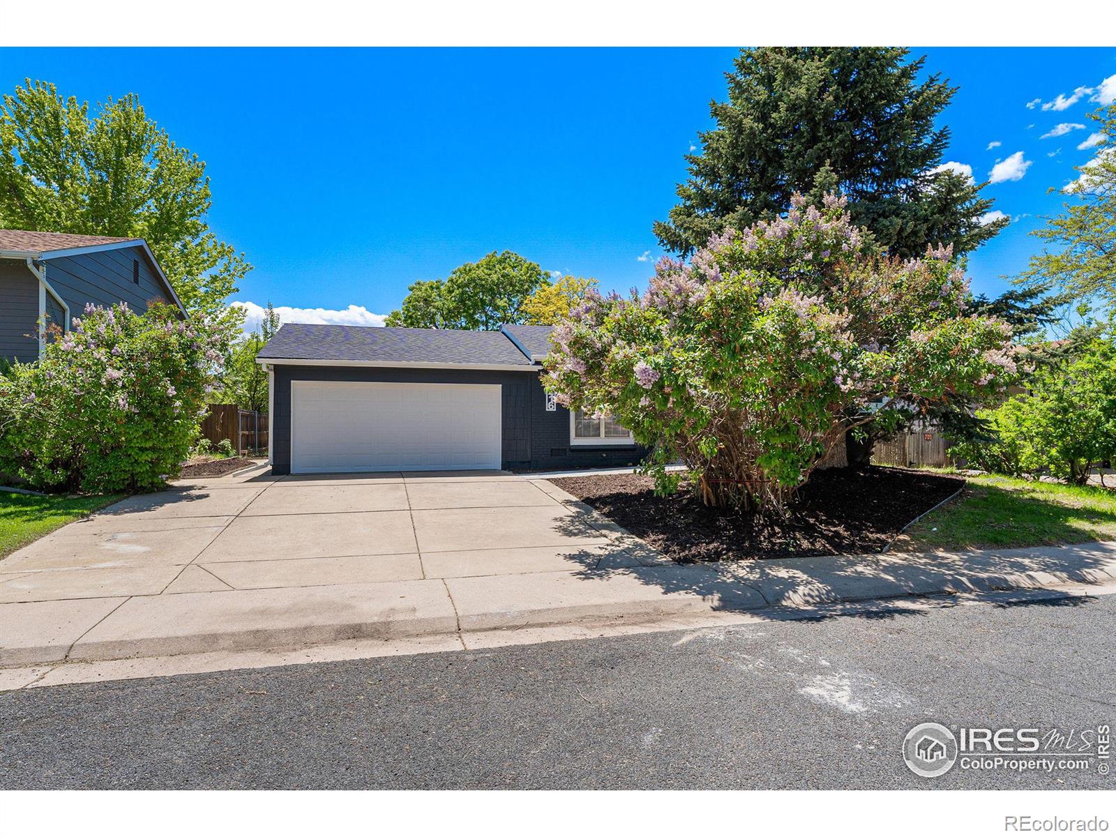 MLS Image #1 for 216  summit circle,lafayette, Colorado