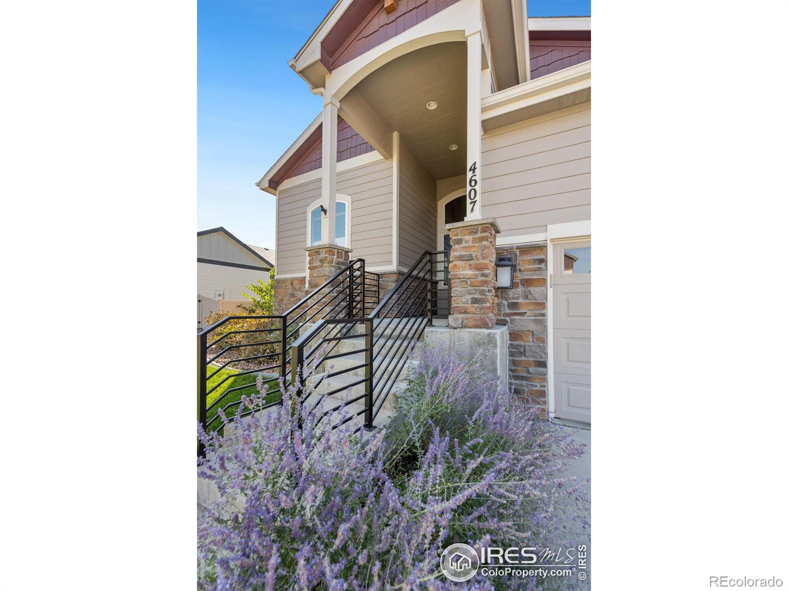 CMA Image for 4607  Freehold Drive,Windsor, Colorado