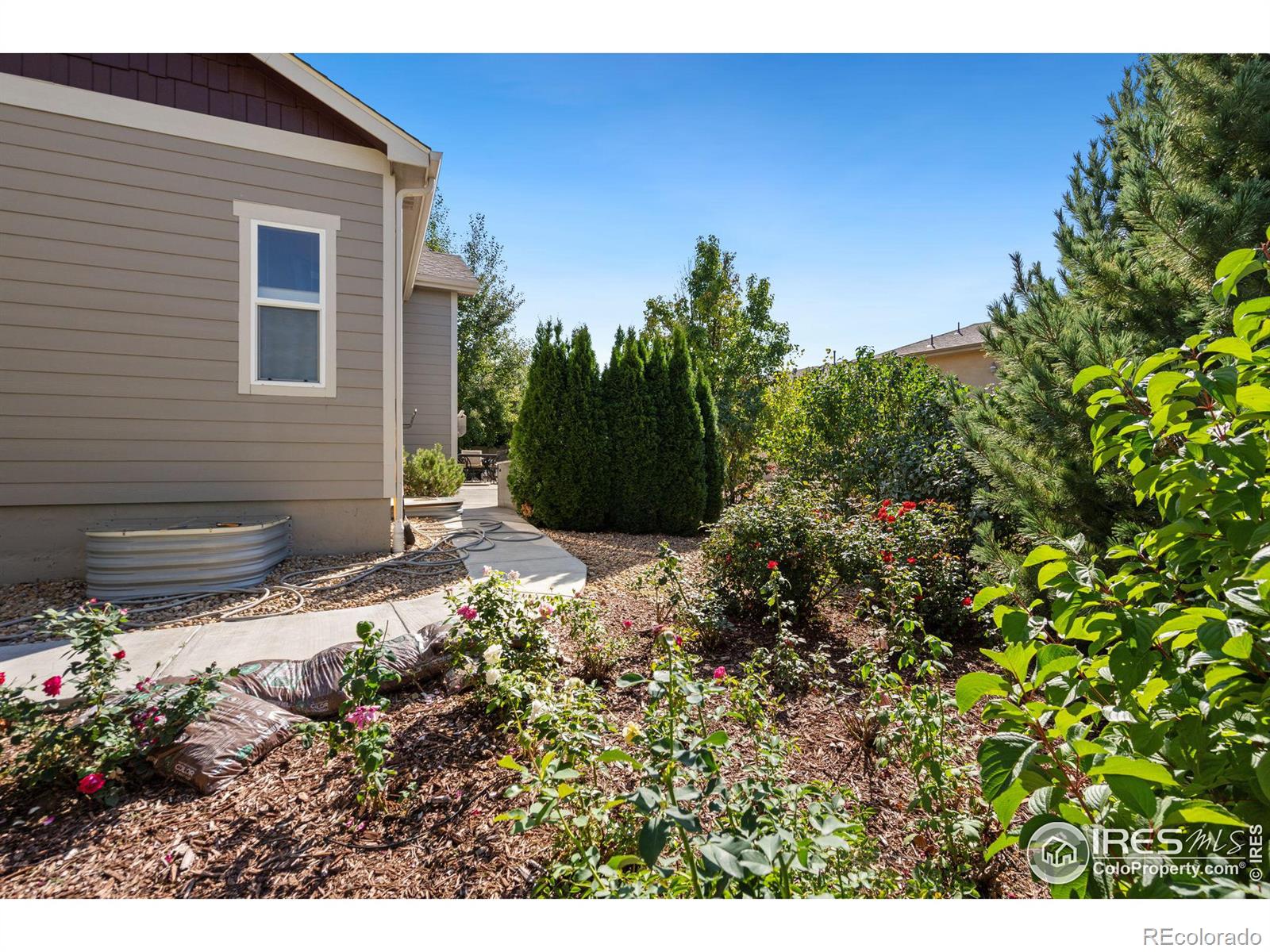 MLS Image #35 for 4607  freehold drive,windsor, Colorado