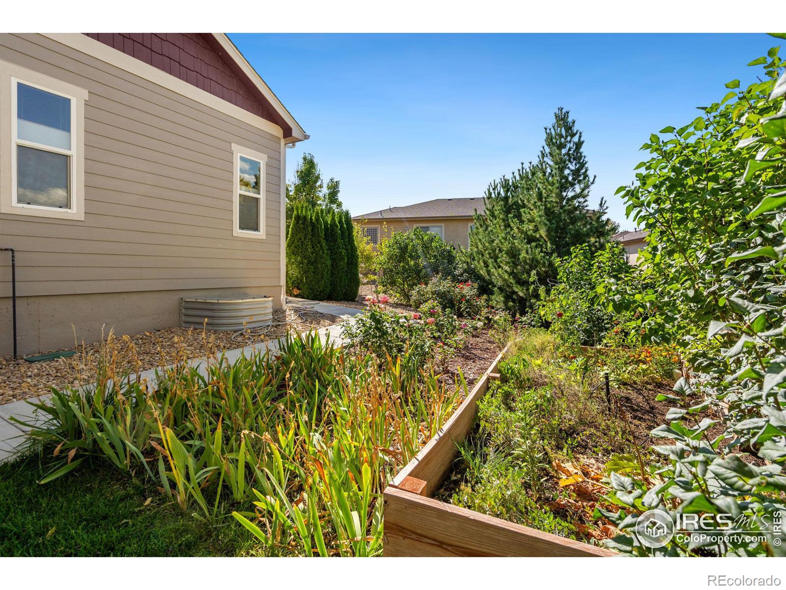 MLS Image #36 for 4607  freehold drive,windsor, Colorado