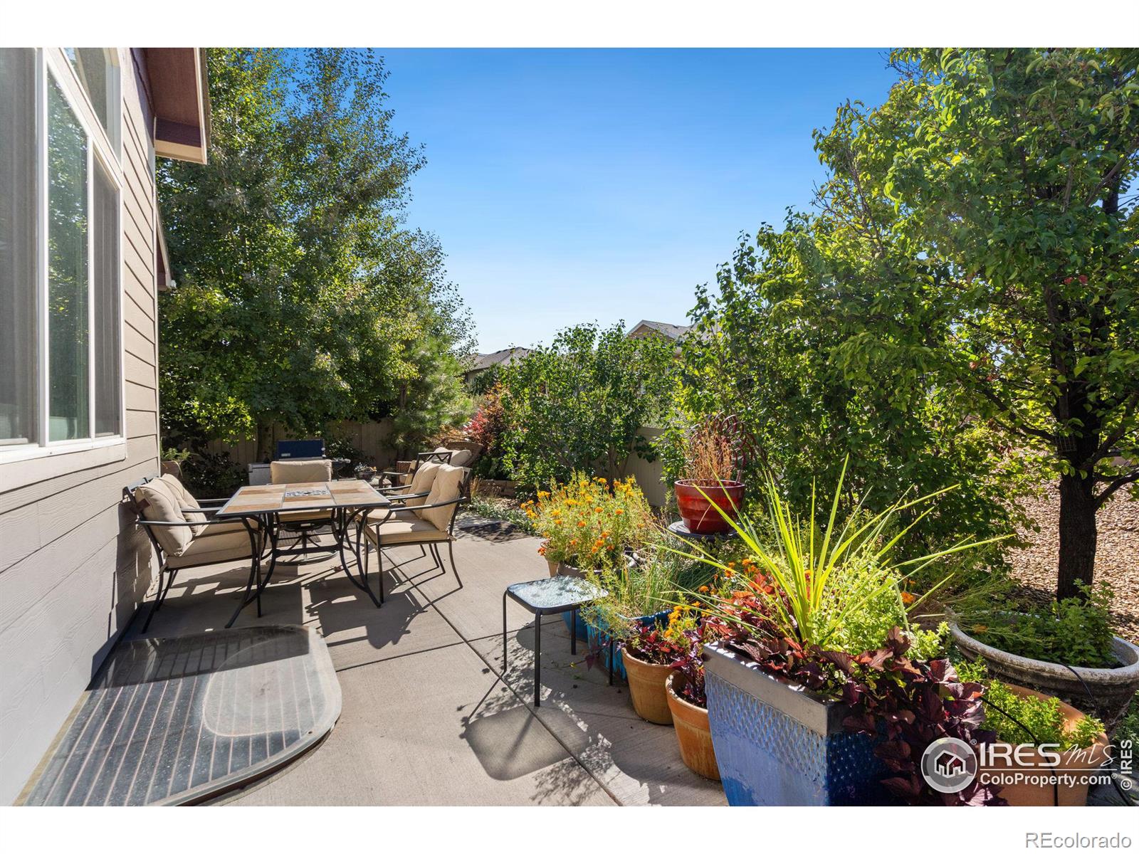 MLS Image #37 for 4607  freehold drive,windsor, Colorado