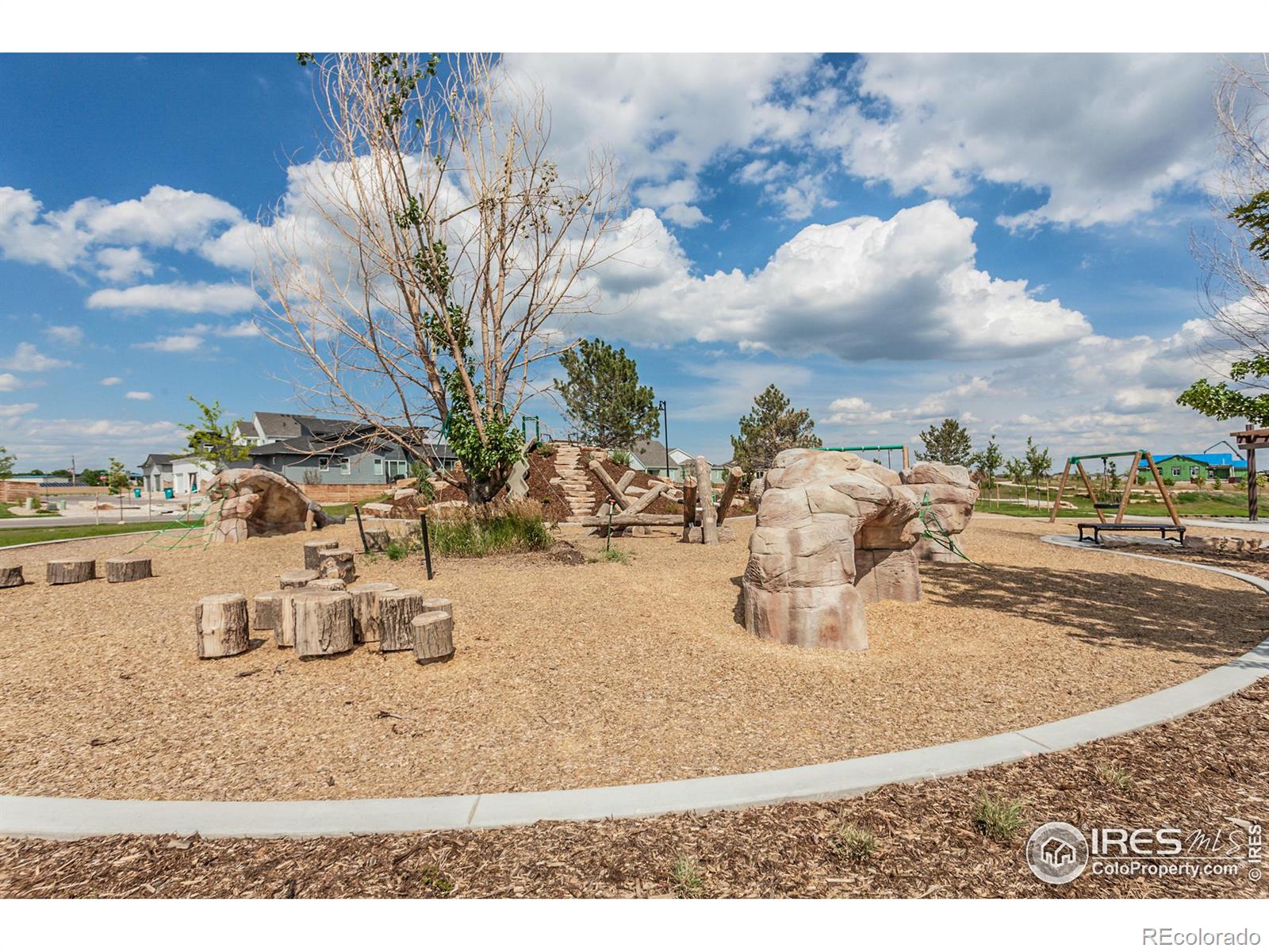 MLS Image #5 for 6127  red barn road,timnath, Colorado