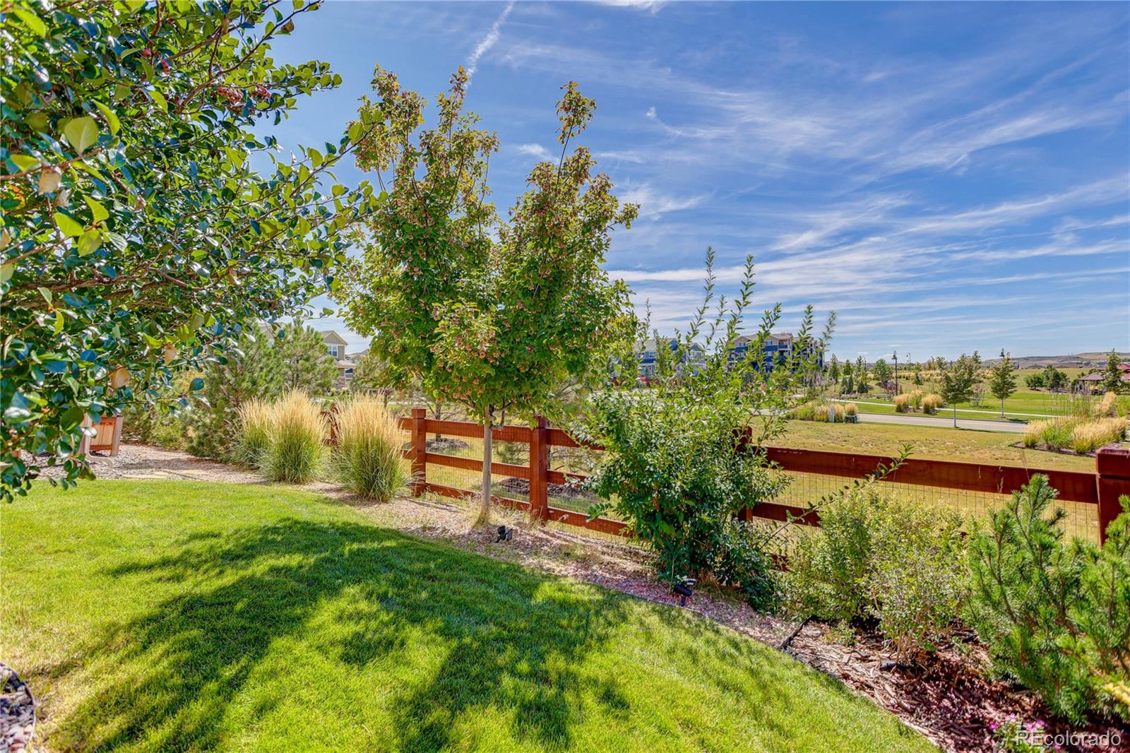 MLS Image #38 for 10233  fort worth court,parker, Colorado