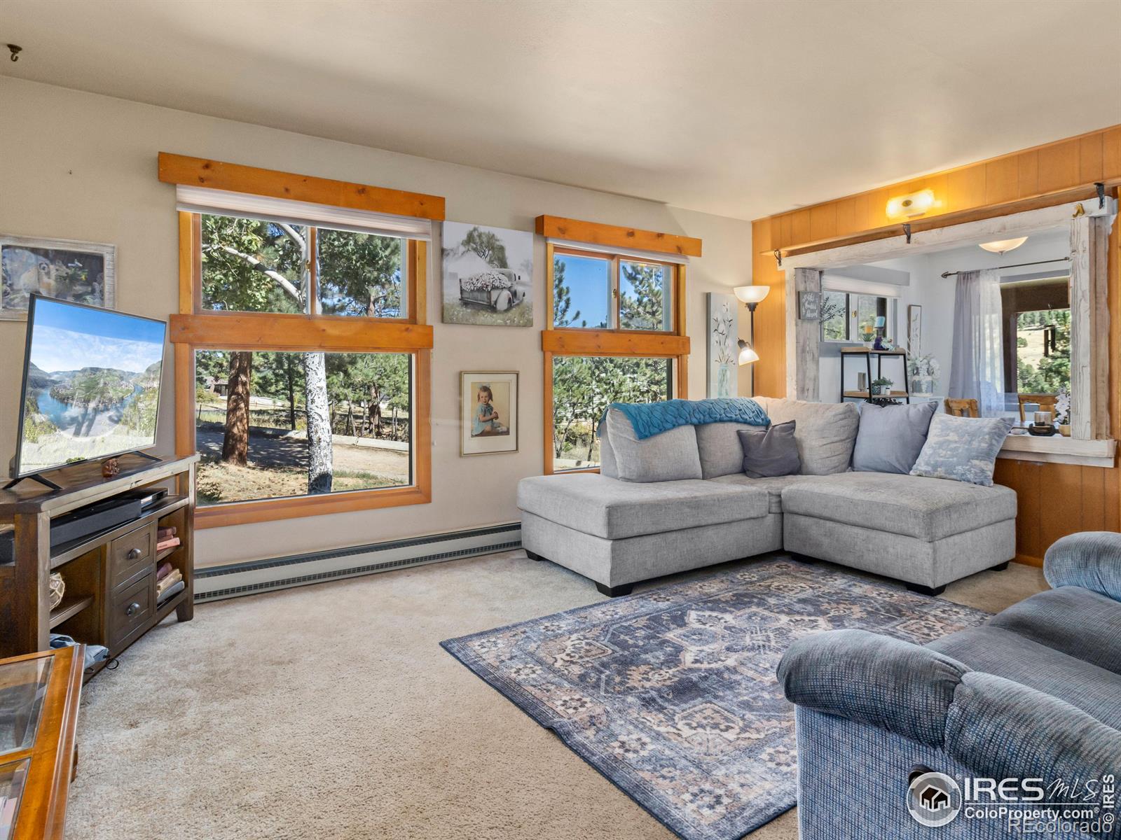 MLS Image #8 for 1210  brook drive,estes park, Colorado