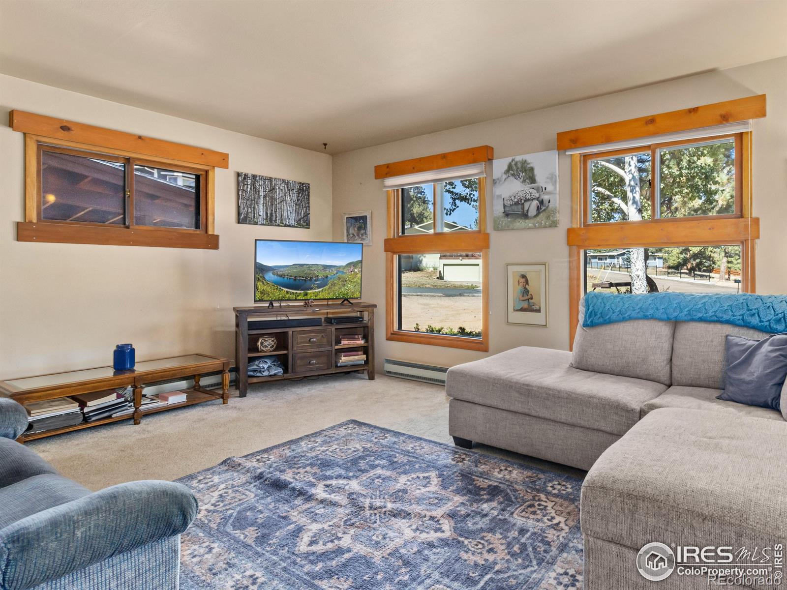 MLS Image #9 for 1210  brook drive,estes park, Colorado