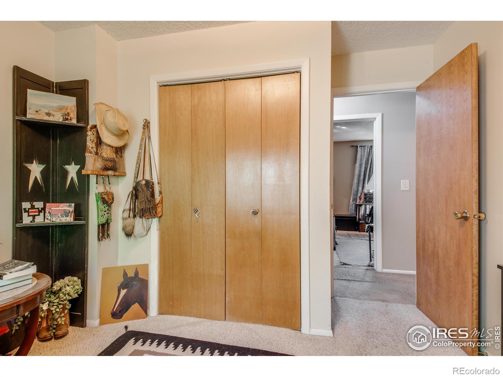 MLS Image #20 for 23  durian court,longmont, Colorado