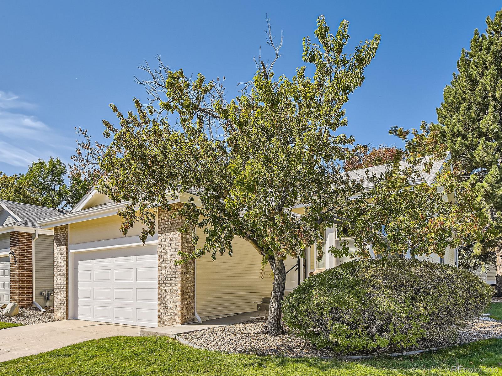 CMA Image for 1  Shetland Court,Highlands Ranch, Colorado