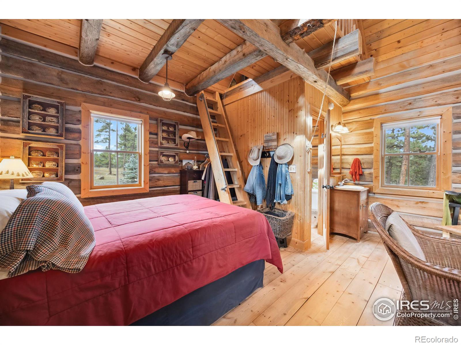 MLS Image #14 for 250  el arbol drive,bellvue, Colorado