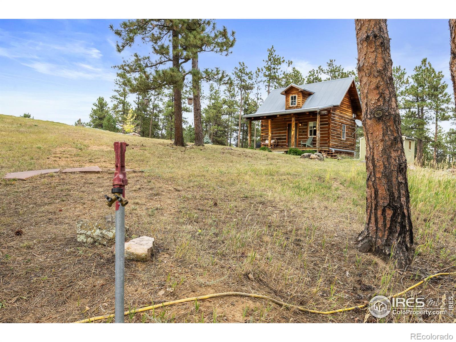 MLS Image #19 for 250  el arbol drive,bellvue, Colorado