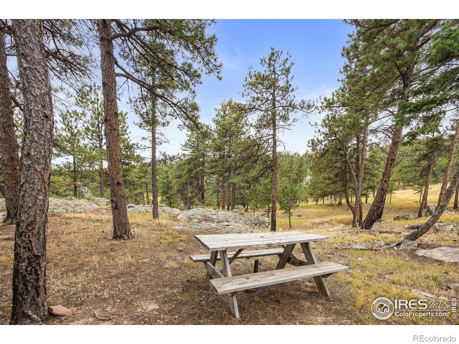 MLS Image #21 for 250  el arbol drive,bellvue, Colorado