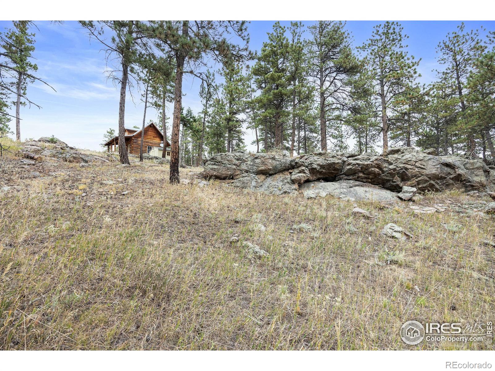 MLS Image #25 for 250  el arbol drive,bellvue, Colorado