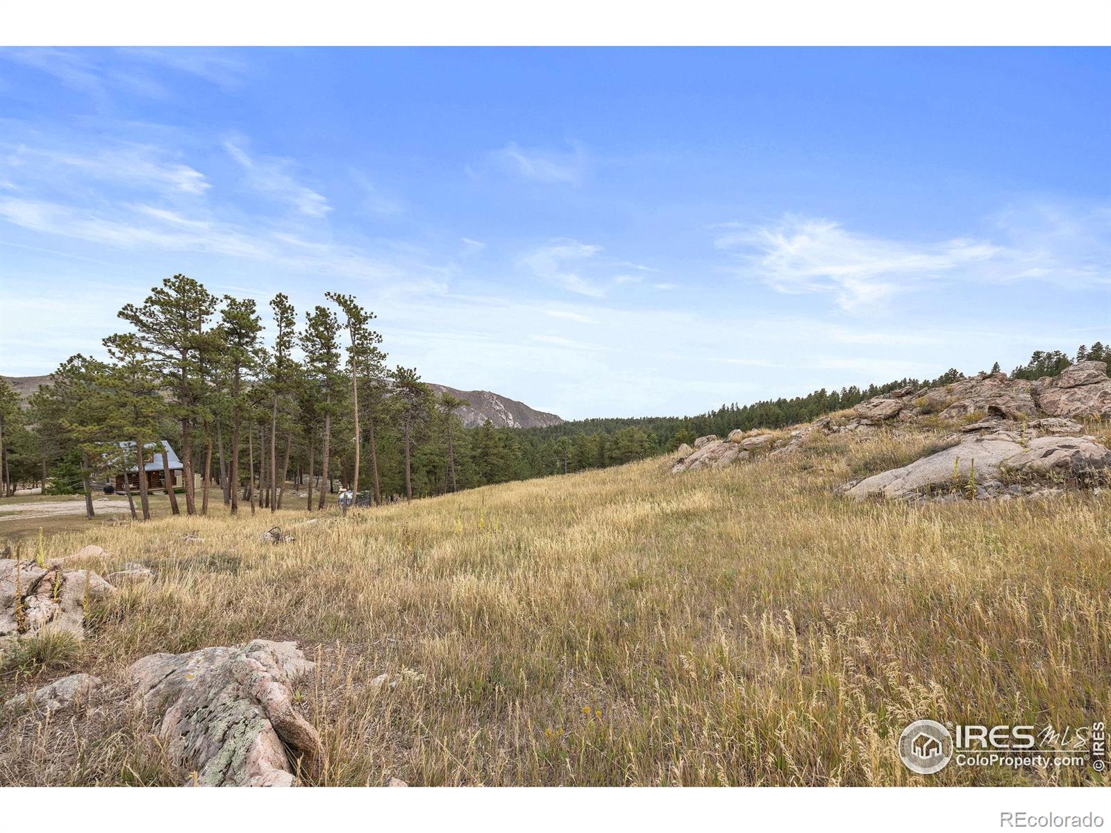 MLS Image #27 for 250  el arbol drive,bellvue, Colorado