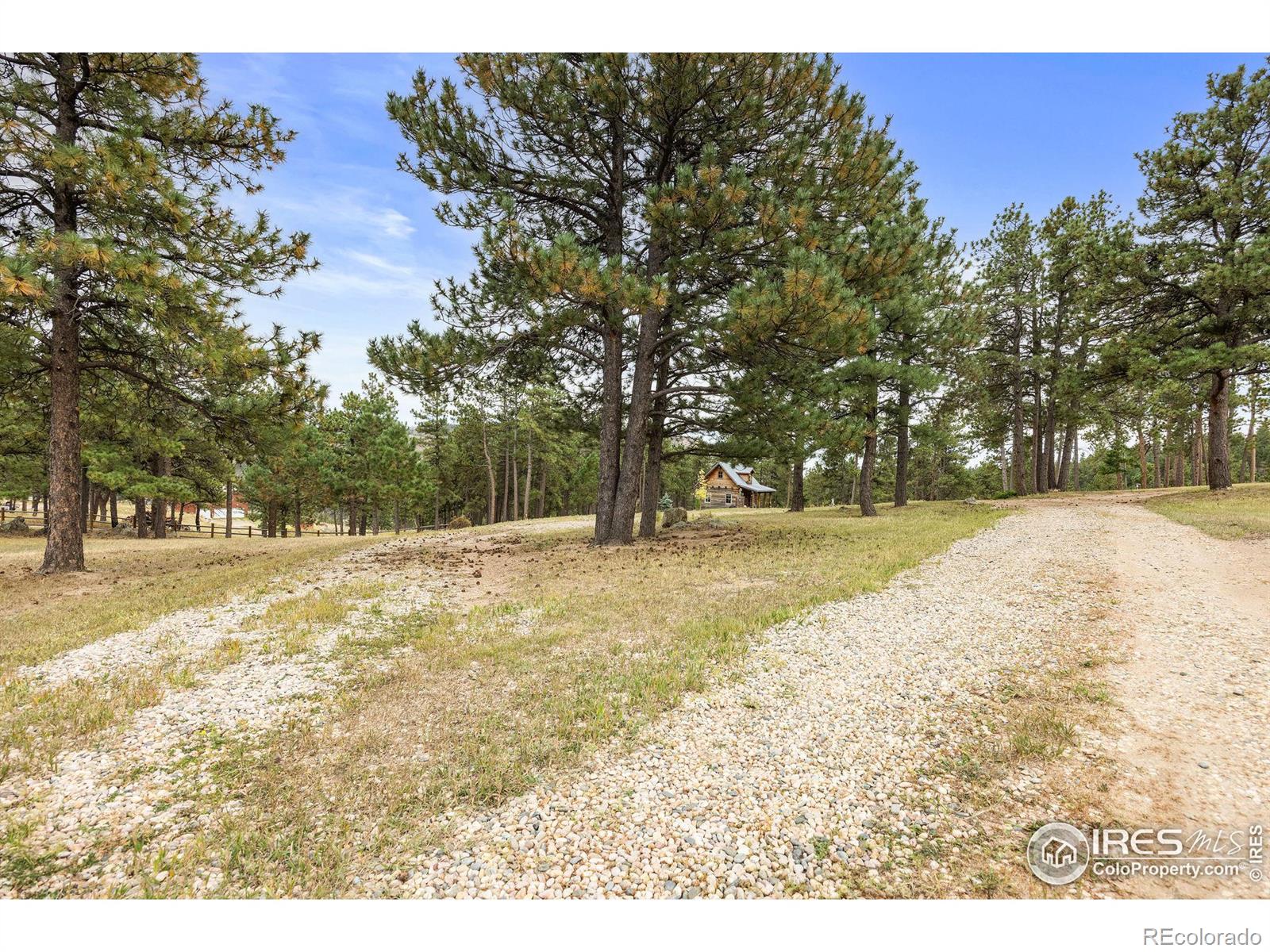 MLS Image #32 for 250  el arbol drive,bellvue, Colorado