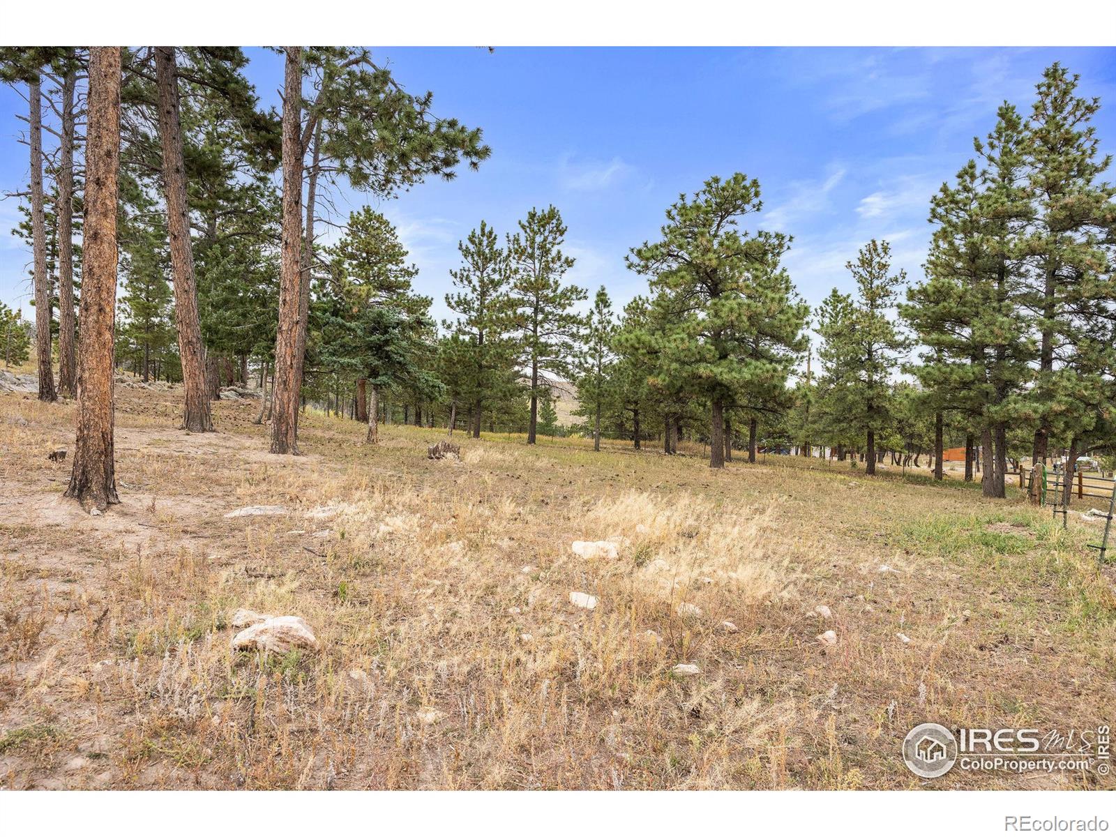 MLS Image #33 for 250  el arbol drive,bellvue, Colorado