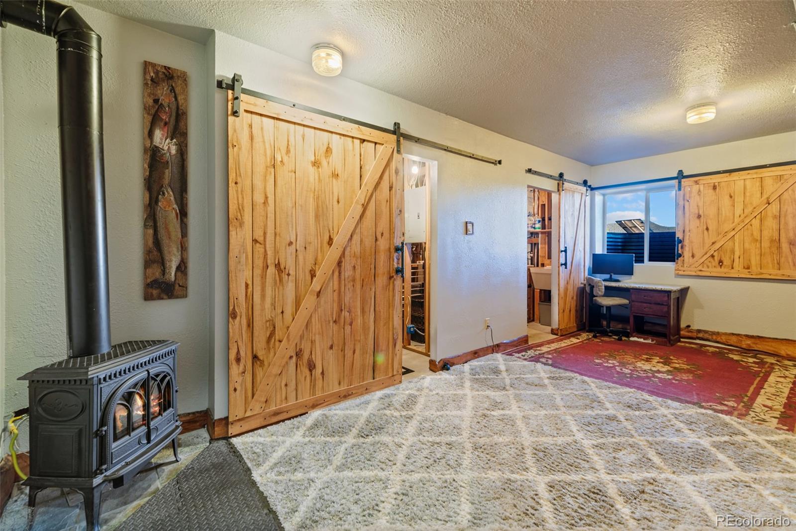 MLS Image #20 for 1689  grand teton drive,hartsel, Colorado