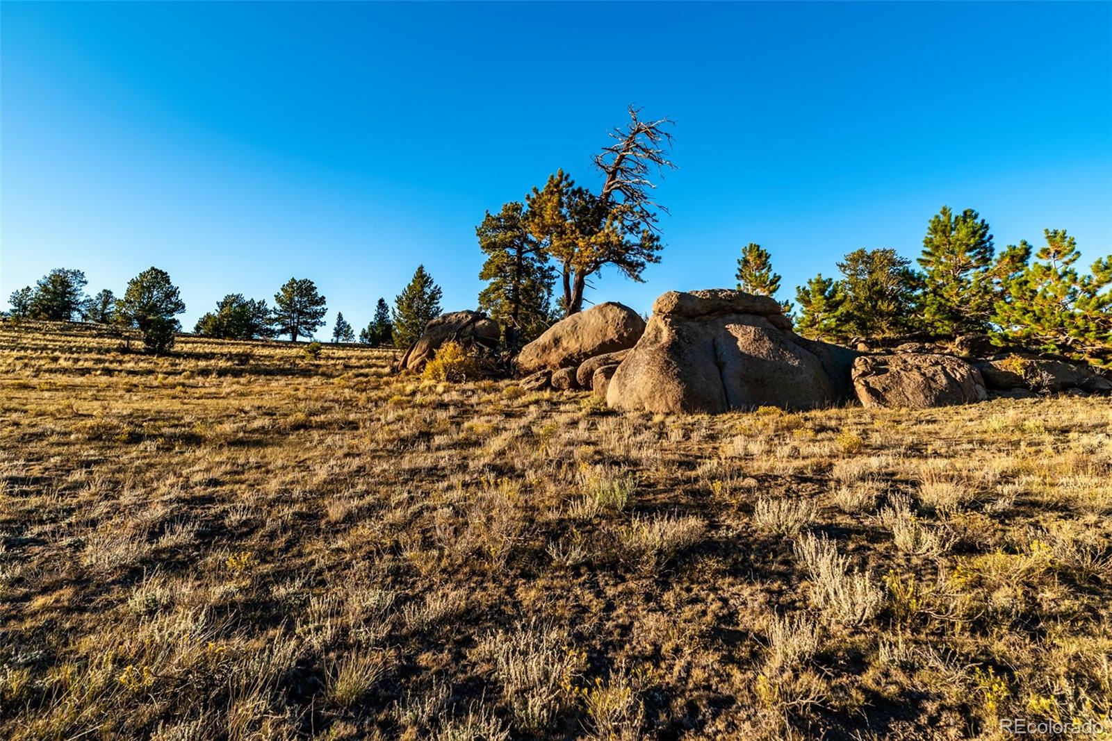 MLS Image #31 for 1689  grand teton drive,hartsel, Colorado