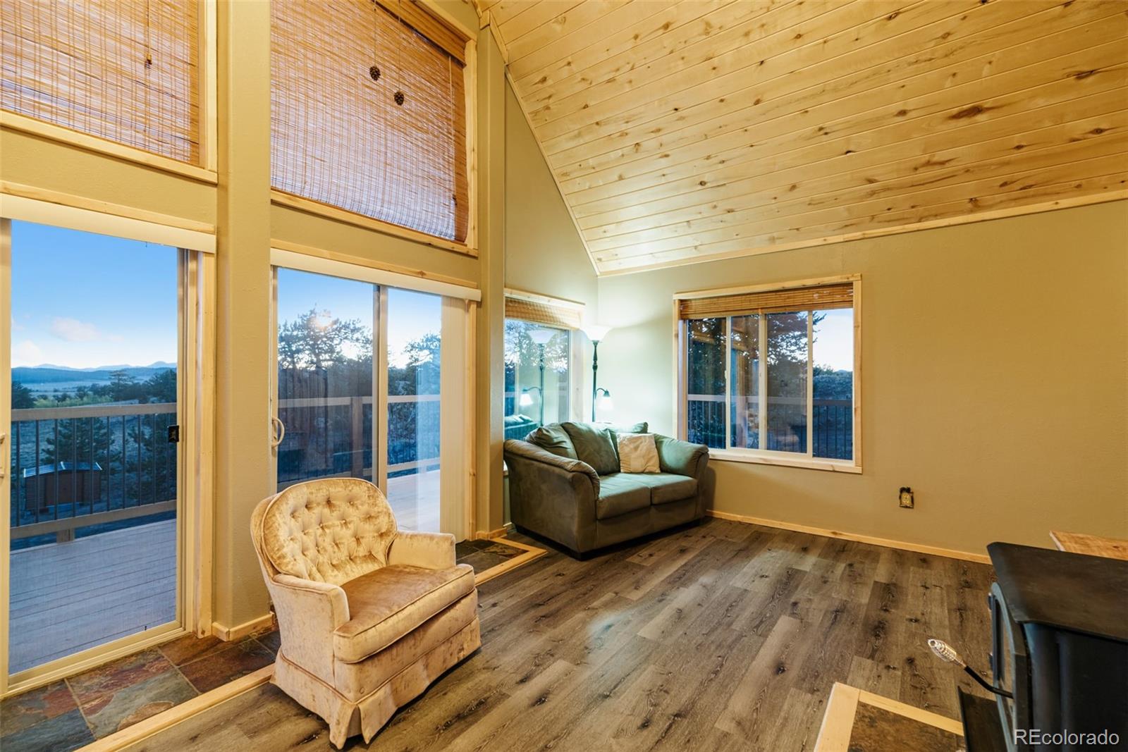 MLS Image #4 for 1689  grand teton drive,hartsel, Colorado