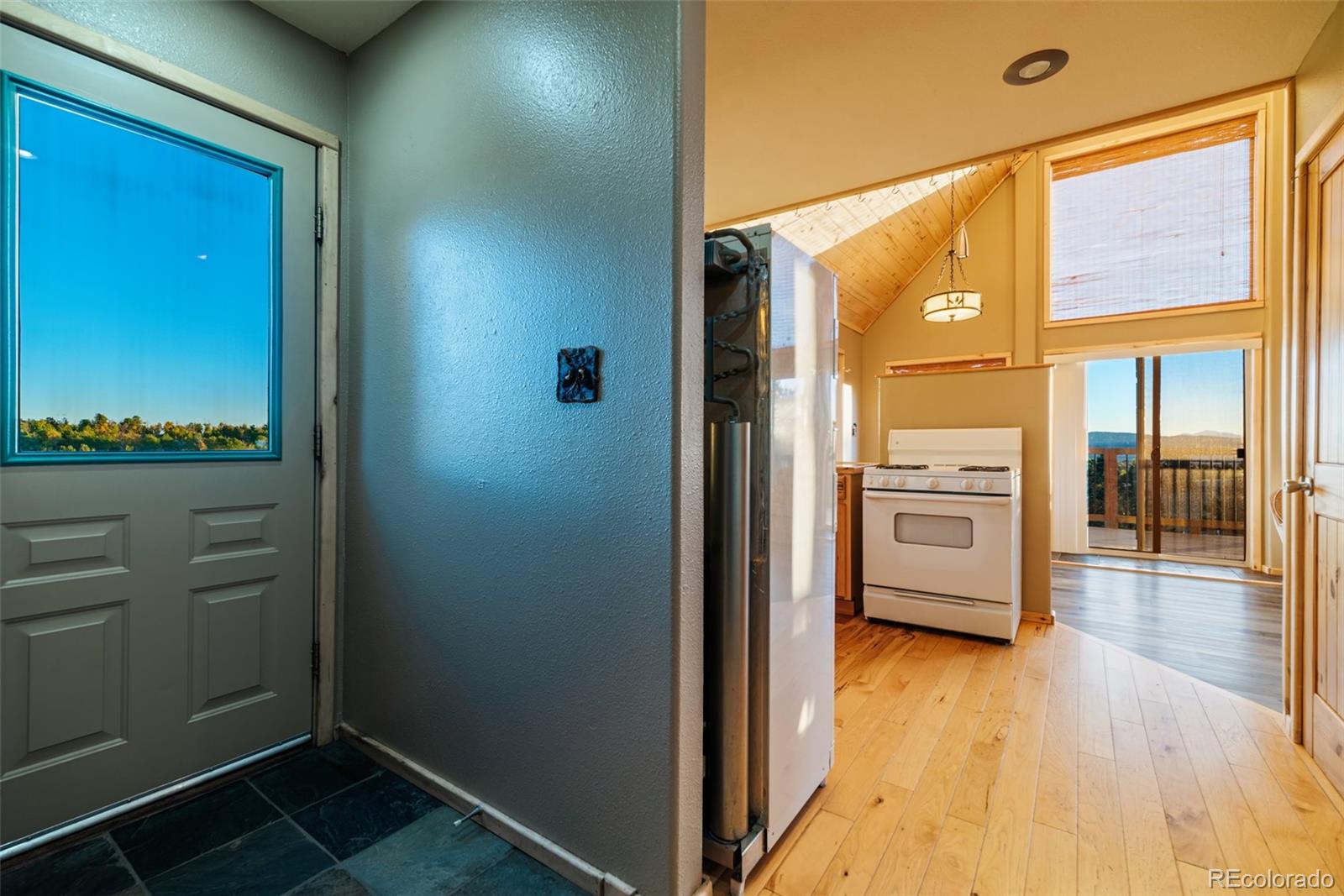 MLS Image #8 for 1689  grand teton drive,hartsel, Colorado