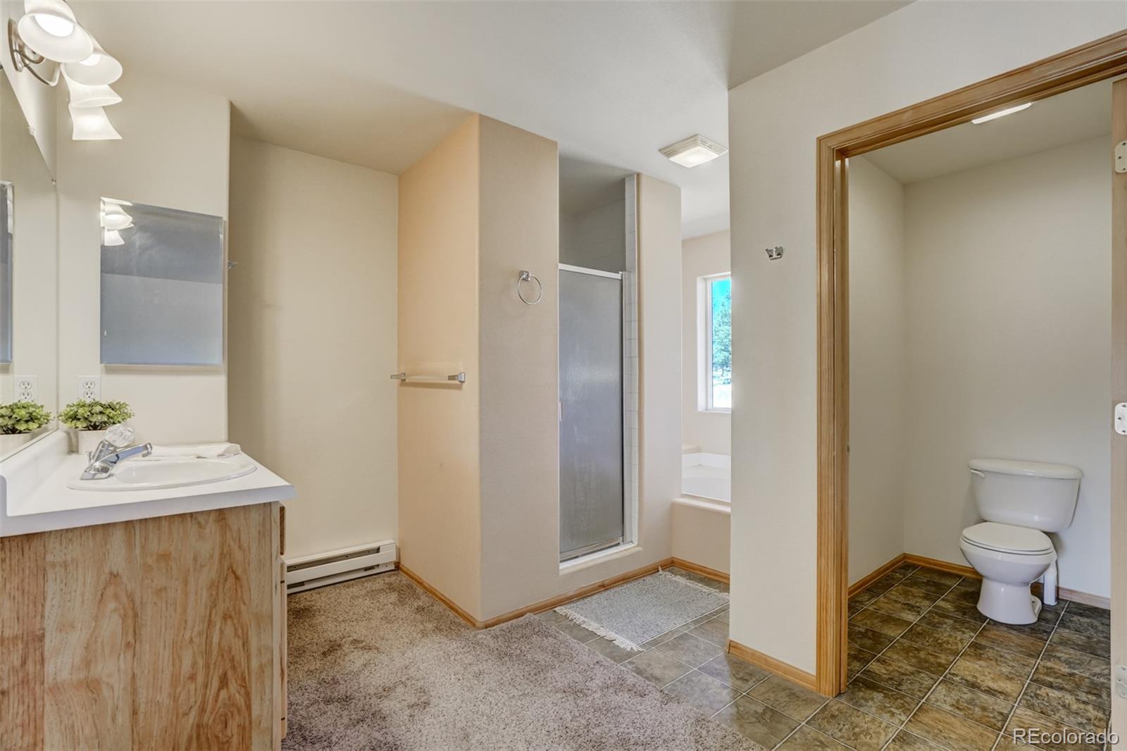 MLS Image #20 for 115  white tail lane,florissant, Colorado