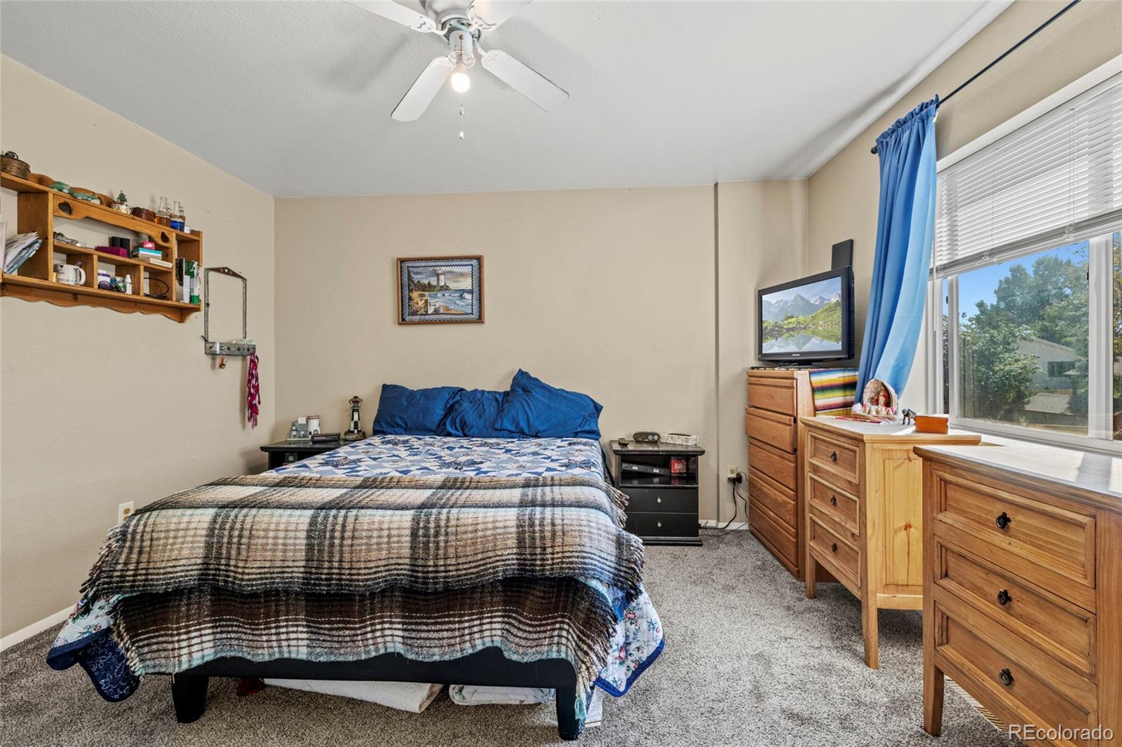 MLS Image #27 for 55  chestnut street,windsor, Colorado