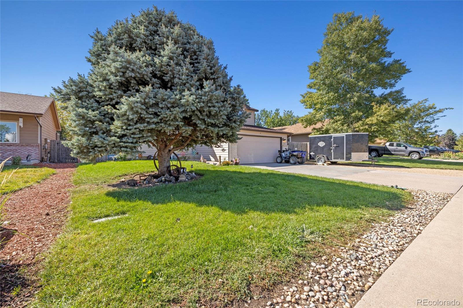 MLS Image #9 for 55  chestnut street,windsor, Colorado