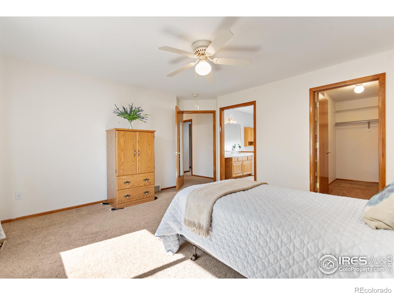 MLS Image #11 for 1520  tulip court,longmont, Colorado