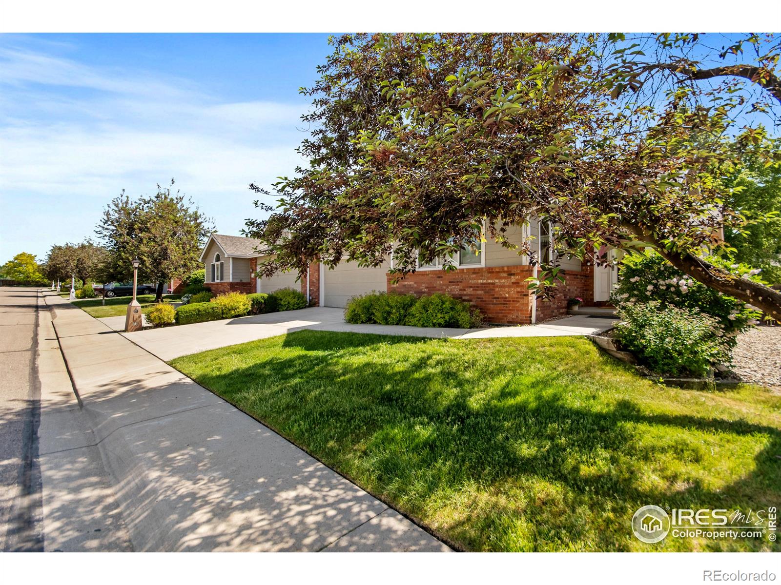 MLS Image #2 for 1520  tulip court,longmont, Colorado