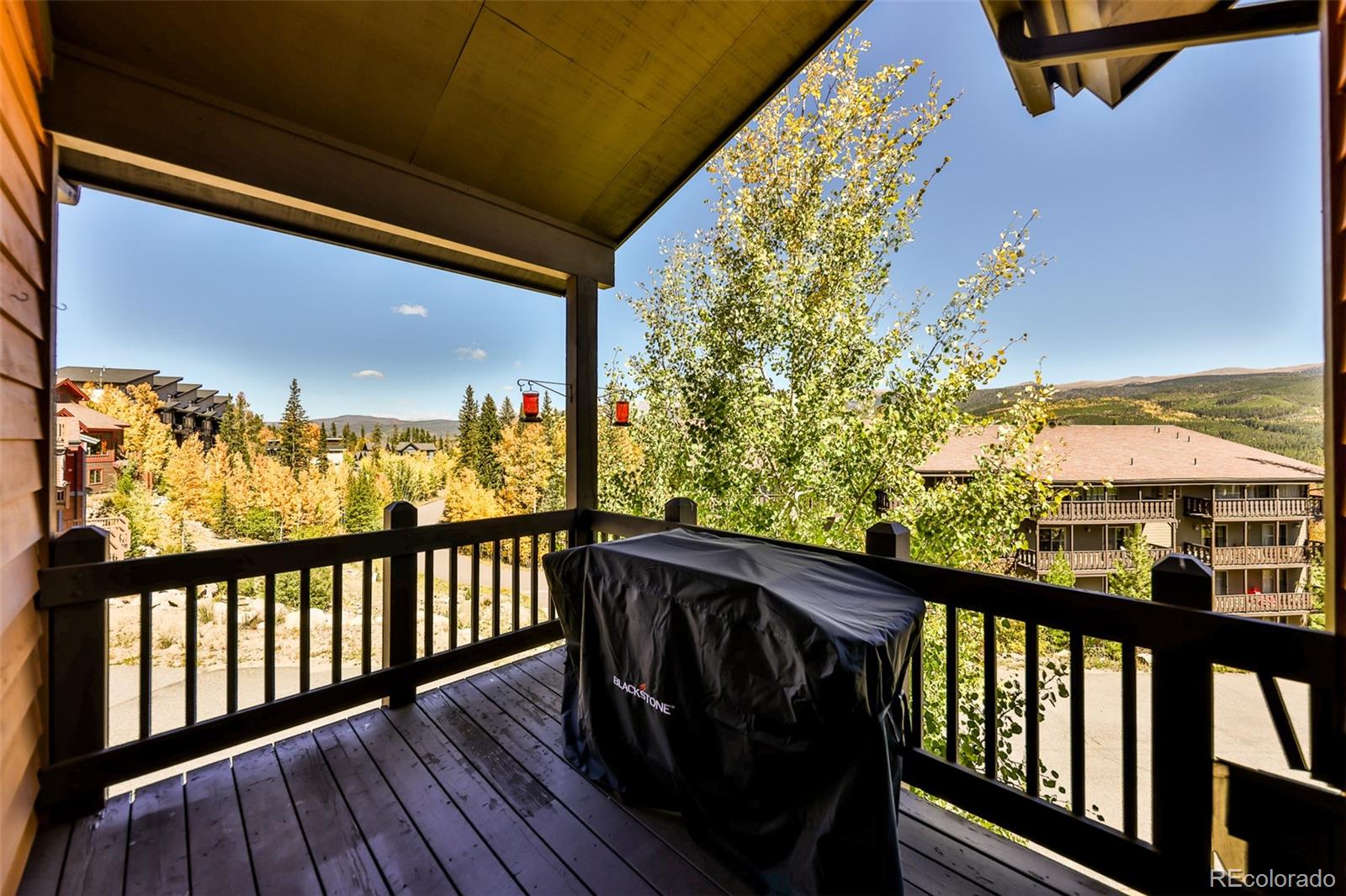 MLS Image #14 for 745  bear trail,winter park, Colorado