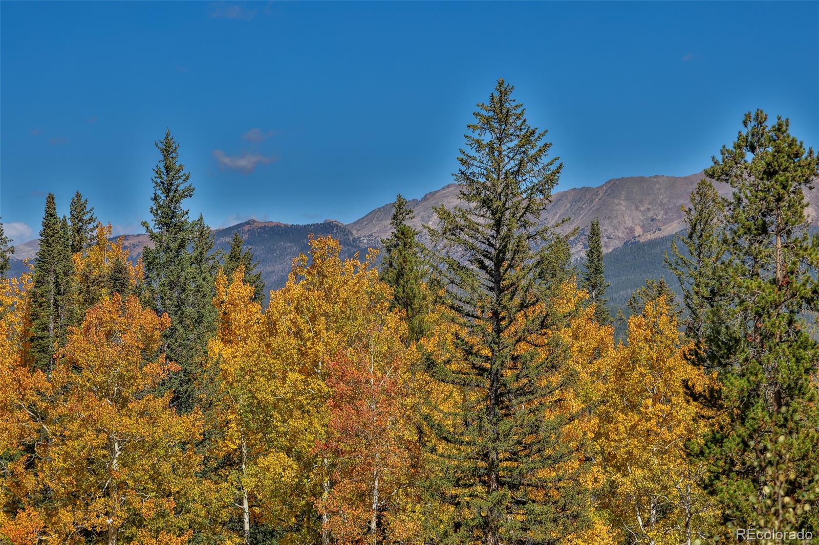 MLS Image #3 for 745  bear trail,winter park, Colorado