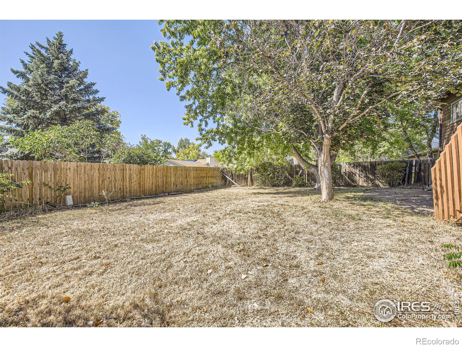 MLS Image #21 for 2809  morgan court,fort collins, Colorado