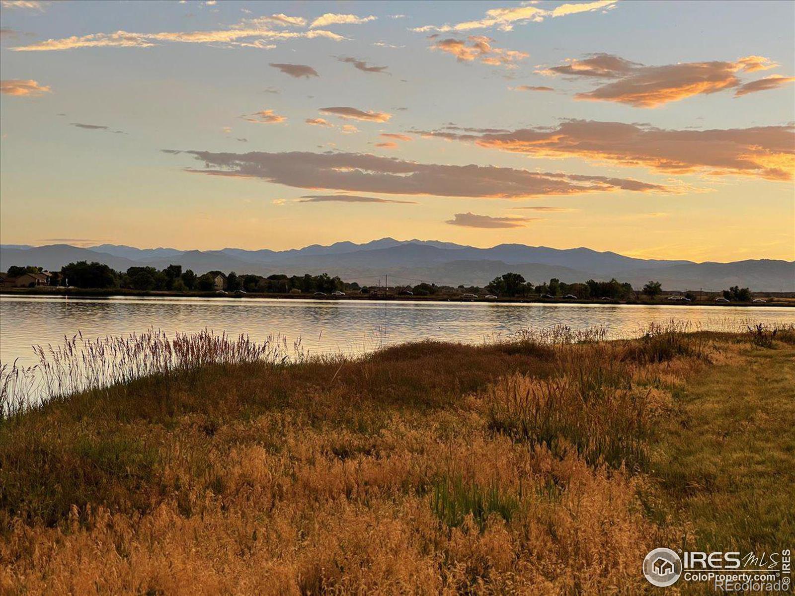 MLS Image #31 for 543  hillspire drive,windsor, Colorado