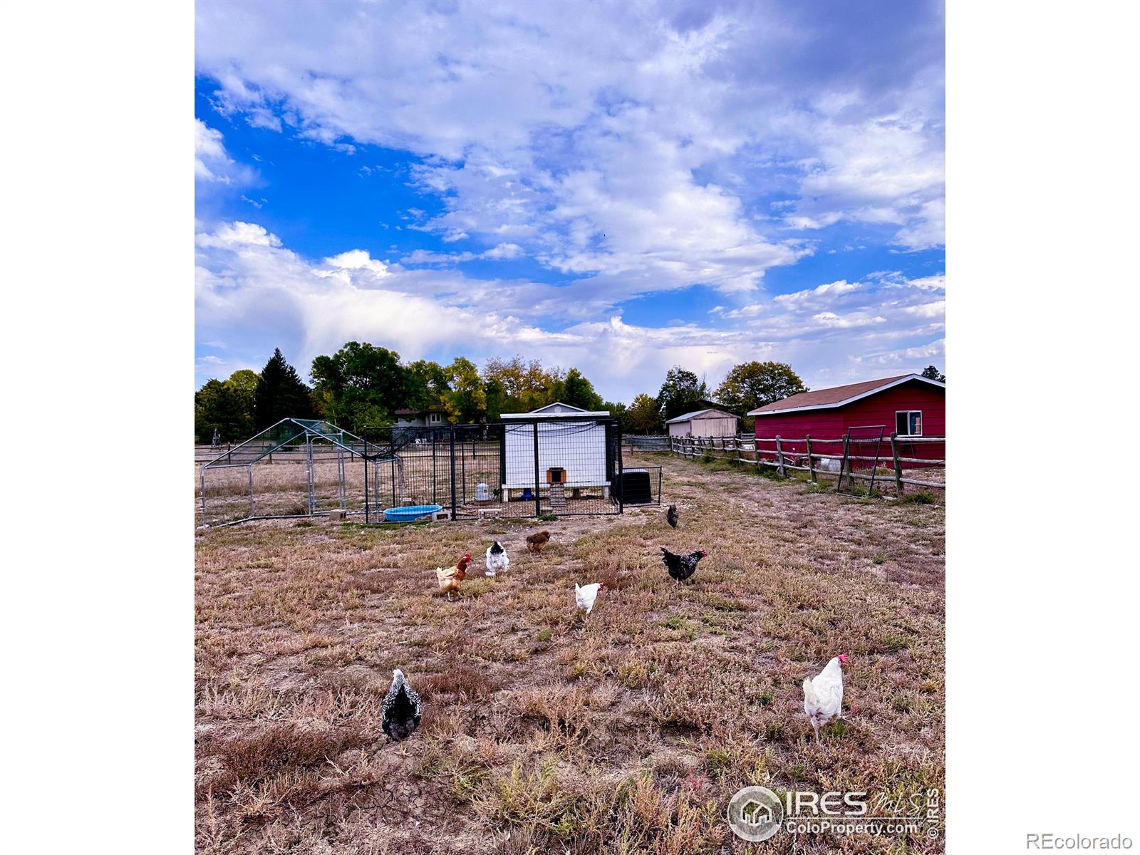 MLS Image #37 for 4608  sunshine court,loveland, Colorado