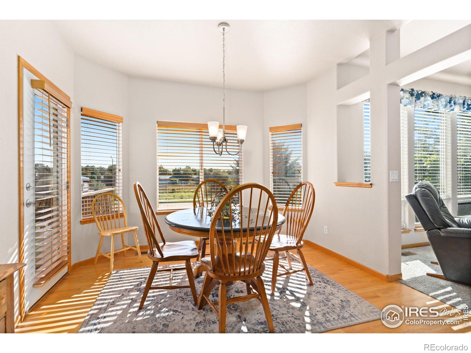 MLS Image #11 for 4720  mimosa street,loveland, Colorado